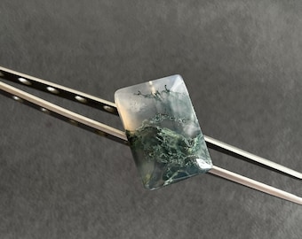 Natural Moss Agate Rectangle Shape Cabochon Loose Gemstone , Rectangle Moss Agate  Cabochons, Flat Back Gemstone, 20x28mm for Jewelry Making