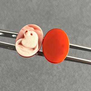 May include: Two oval-shaped cabochons held by metal tweezers. One cabochon is a pale pink color featuring a carved relief of a seal. The other cabochon is a solid, smooth, vibrant orange-red color. Both pieces have a polished, glossy finish.