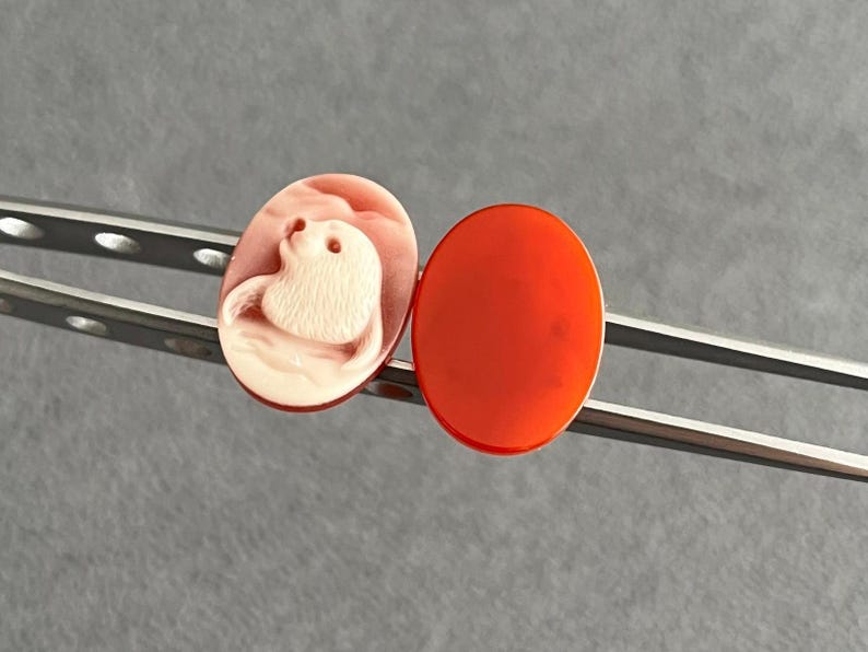 May include: Two oval-shaped cabochons held by metal tweezers. One cabochon is a pale pink color featuring a carved relief of a seal. The other cabochon is a solid, smooth, vibrant orange-red color. Both pieces have a polished, glossy finish.
