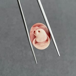 May include: An oval-shaped, light pink carved cameo featuring a detailed relief of a seal pup. The seal is depicted with textured fur, a small snout, and a dark eye, set against a smooth, lighter pink background. The cameo is held by metal tweezers.