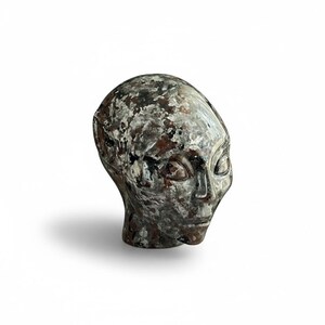 May include: A sculpted head with an alien-like appearance. The sculpture is primarily shades of brown, grey, and white, with a textured, mottled surface. The head has large, oval eyes and a smooth, rounded head.