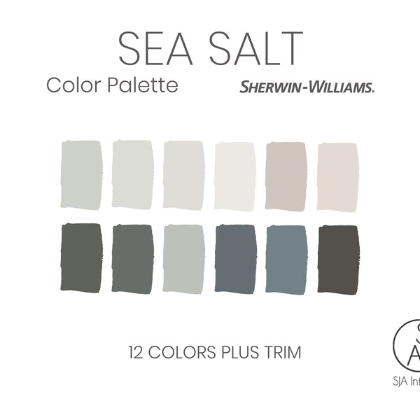 Sea Salt Color Palette Etsy