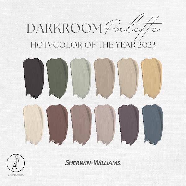 Palette de couleurs de peinture pour chambre noire 2023 : schéma de design d'intérieur Sherwin Williams (téléchargement PDF)