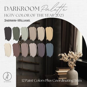 Darkroom Paint Palette, Color of the Year 2023, Sherwin Williams, Interior Paint Color Palette, e-design, Interior Design