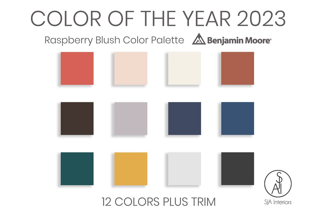Color of the Year 2023 Raspberry Blush Color Palette Etsy