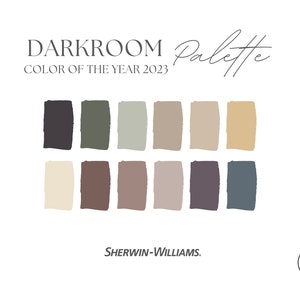 Color of The Year 2023 Darkroom Paint Palette | Sherwin Williams | Interior Paint Color Scheme | e-design | Interior Design