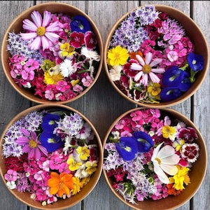 Può includere: Quattro ciotole piene di composizioni floreali colorate. Ogni ciotola contiene una varietà di fiori in tonalità di rosa, viola, blu, giallo e bianco. I fiori sono disposti in modo casuale, creando una visualizzazione visivamente accattivante.