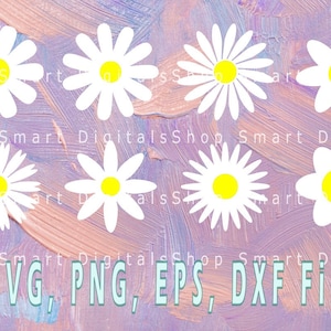 Daisy Svg, Flower Svg, Floral SVG, Daisy Png, Daisy Flower Clipart, Vector, Download, Svg Files for Cricut, Digital Download