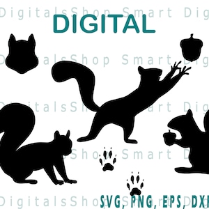 Écureuil SVG | Fichier de coupe écureuil | Gland| Silhouette simple d'écureuil | Téléchargement pour Cricut, Silhouette, Glowforge, Cameo, Licence commerciale