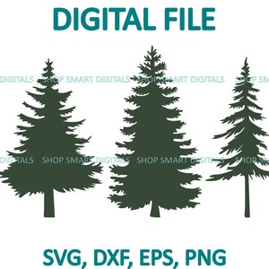 Pino SVG / Albero di Natale SVG File di taglio / Abete rosso SVG / Scarica Clipart, File di taglio, Silhouette, Cricut, Glowforge, Png, SVG, DXF, eps