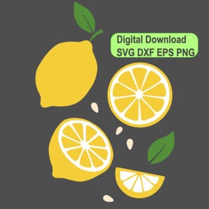 Citronskiva SVG, Frukter, Fruktklippfil, Citronlager, Skärning, Cricut, Siluett, Kommersiellt bruk, Digital, Direktnedladdning | svg png eps dxf