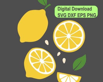 Lemon Slice SVG, Fruits ,Fruit cut file,Lemon Layered,Cutting,Cricut,Silhouette,Commercial use,Digital,Instant download | svg png eps dxf