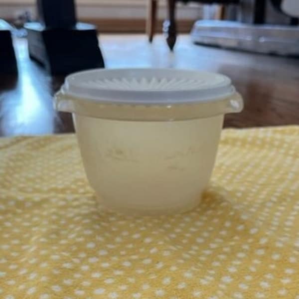 Vintage Tupperware Servalier Container Sheer #886