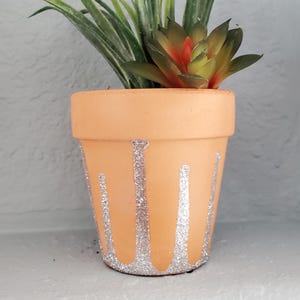 May include: A small terracotta pot with a light orange glaze and silver glitter accents. The pot is decorated with vertical stripes of glitter, creating a drip effect. A small green succulent plant is growing in the pot.