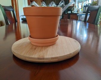 Terracotta 5.5" diameter pots  with or without saucer,  Great for succulents, cactus, larger plants.