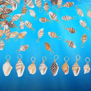 May include: An assortment of seashells with gold-colored wire loops, set against a gradient blue background. The shells vary in size, shape, and color, with patterns of brown, white, and tan. These decorative shells are ideal for jewelry making or coastal decor.