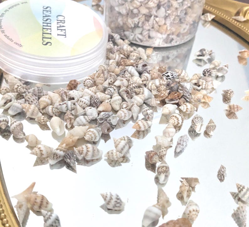 Tiny Natural Seashells for Crafts – 1 Ounce (~200 Pcs) Mini Beach ...