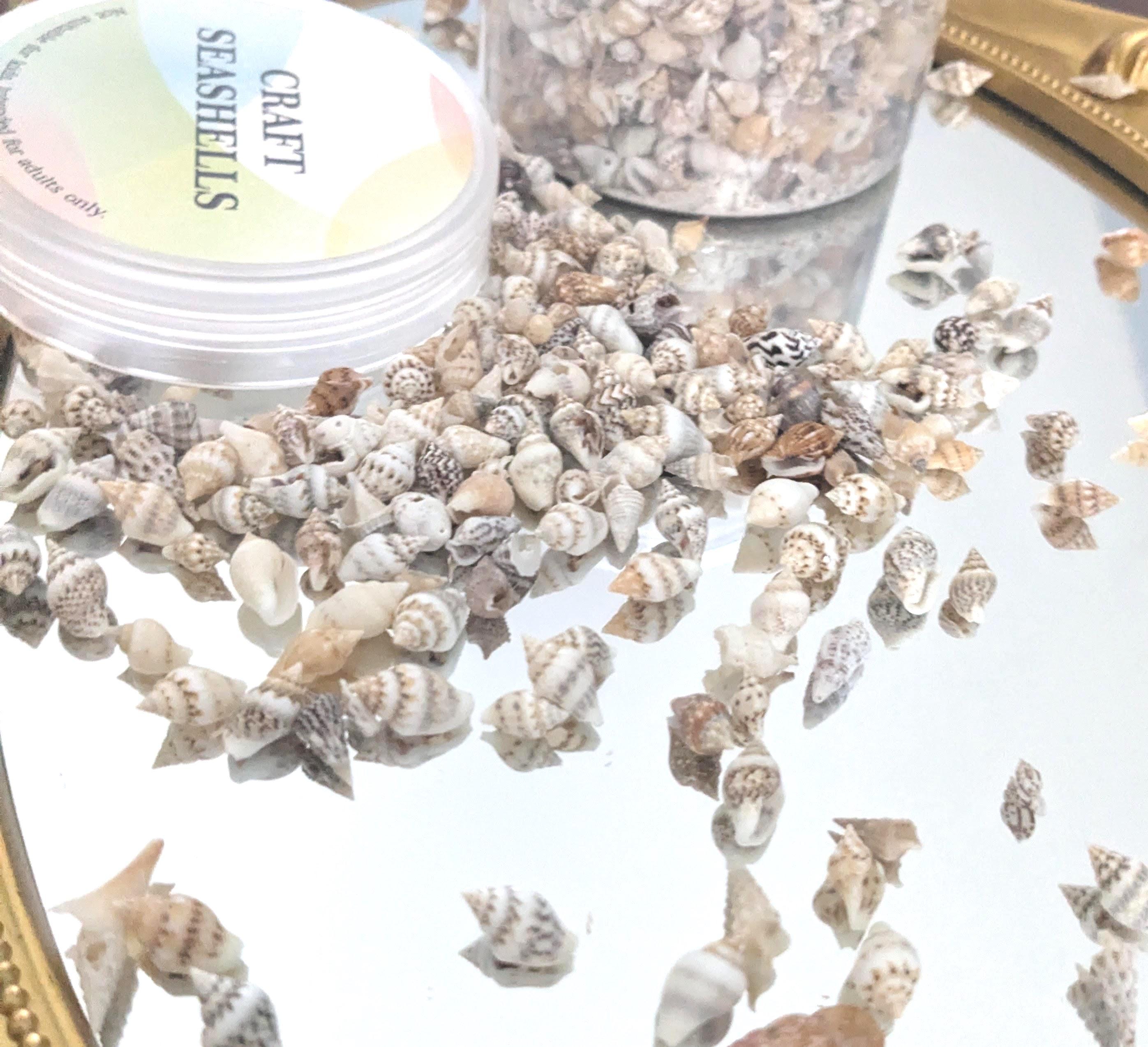 Tiny Natural Seashells for Crafts – 1 Ounce (~200 Pcs) Mini Beach ...