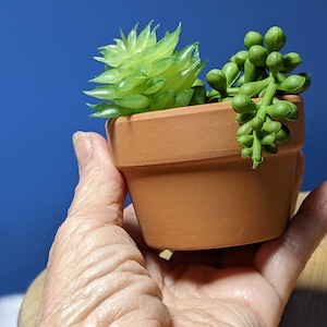 2.7 Inch Shallow Terracotta pots,Small Hand Craft Nursery Plant Pot,Mini Clay Cactus/Succulent/herb Container with Drain Hole for Seeding 