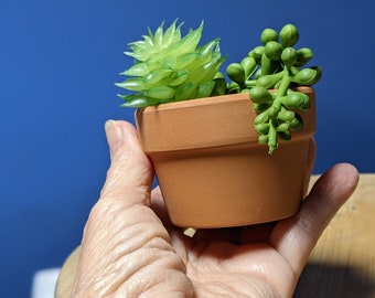 Small Shallow Terracotta Plant Pot: 2.7 Inch Clay Cactus/succulent  Container - Etsy
