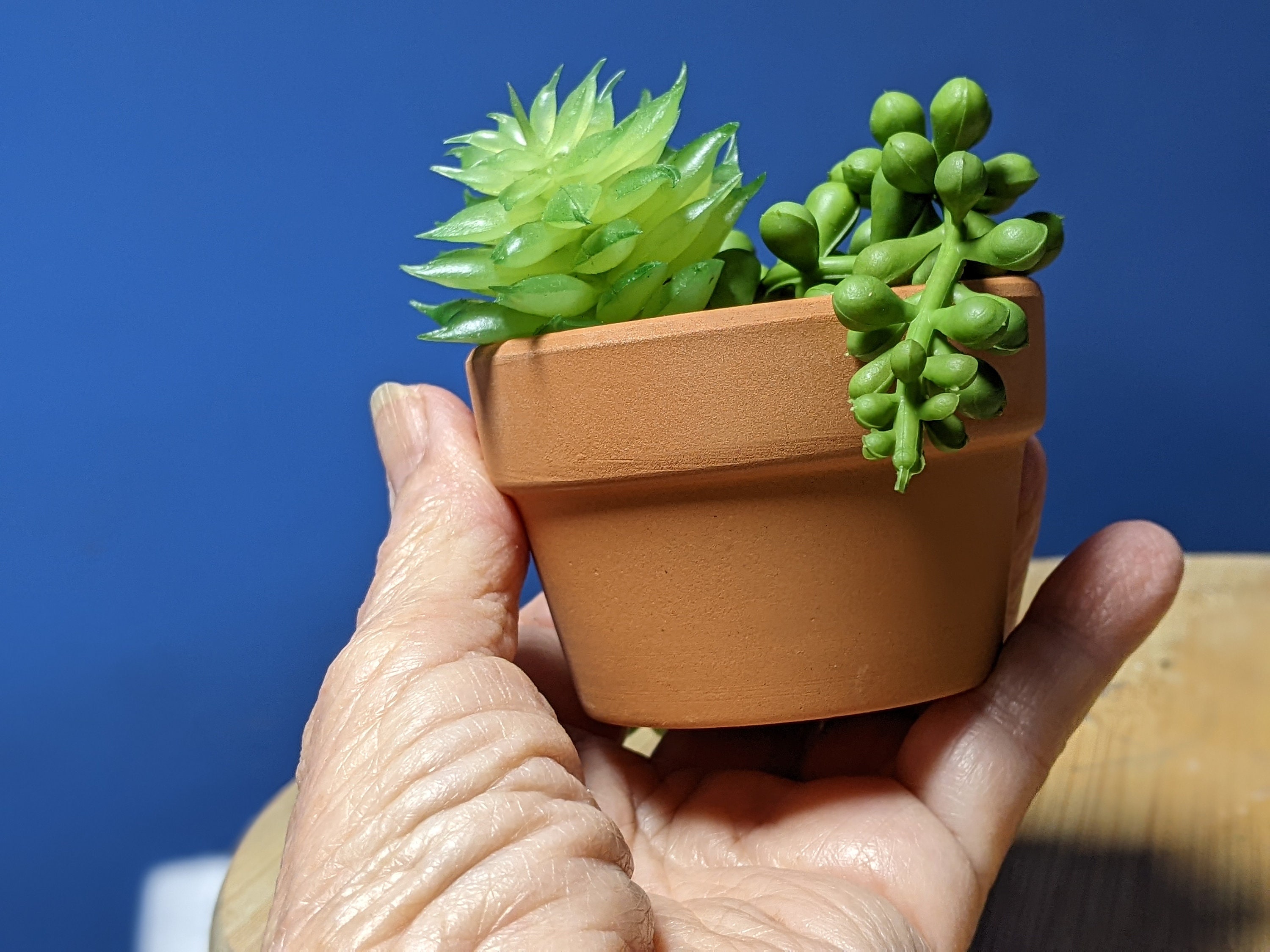 Mini Terracotta Pots - Etsy