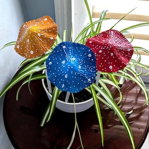 May include: Three colorful mushroom decorations in a white pot with green and white striped plants. The mushrooms are orange, blue, and red with white spots. The pot sits on a dark brown table.