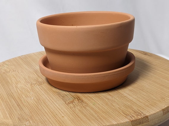 polster reiniger dm Du möchtest dein Teppich oder reinigen? Bei bekommst du das Gerät gratis dazu. Ich zeig dir wie das geht #sapur #teppichreinigungsgerät #teppichreinigung #teppich #polsterreinigung #polster Holzfiguren für den Garten