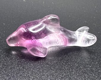 Mini Dolphin Fluorite Carvings