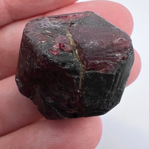 May include: A dark red, faceted, gemstone with a rough, natural finish. The gemstone is held in a hand.