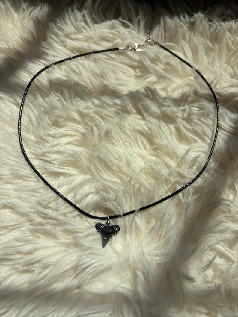 K&ouml;nnte beinhalten: Eine schwarze Kordelkette mit Silberverschluss und einem Anh&auml;nger in Form eines Haifischzahns. Der Anh&auml;nger zeigt einen grauen Haifischzahn, der mit Silberdraht umwickelt ist, mit einem dunkelgrauen Stein dar&uuml;ber.