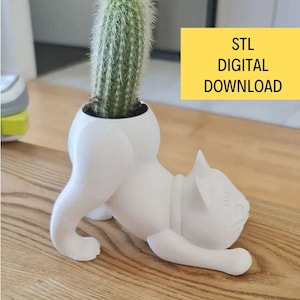 May include: White ceramic planter shaped like a cat, with a cactus plant inside. The planter is in a yoga pose, with its front paws stretched out in front of it. The text "STL DIGITAL DOWNLOAD" is in a yellow box in the upper right corner of the image.