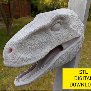 Velociraptor Head For Wall (Large) 3d Print Stl File, Digital Download