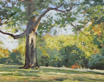 Early Color Original Oil Painting Plein Air Landscape Art