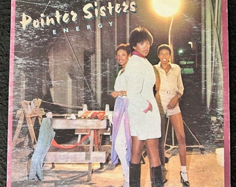 Assorted Pointer Sister Vinyl Records