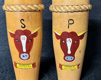 Vintage Glacier National Park Salt & Pepper Shakers