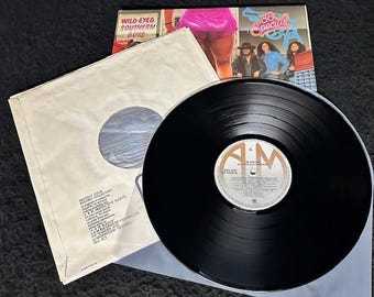38枚のスペシャルビニールレコード詰め合わせ - Etsy 日本