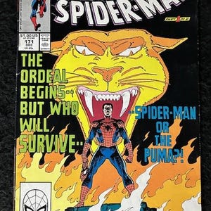 Assorted Spider-Man Comic Books