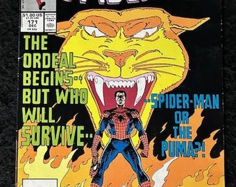 Assorted Spider-Man Comic Books