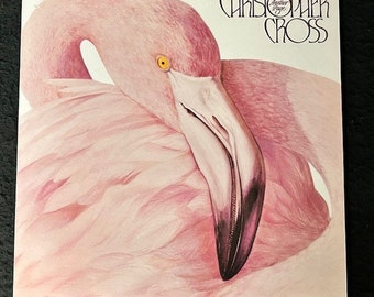 Assorted Christopher Cross Vinyl Records