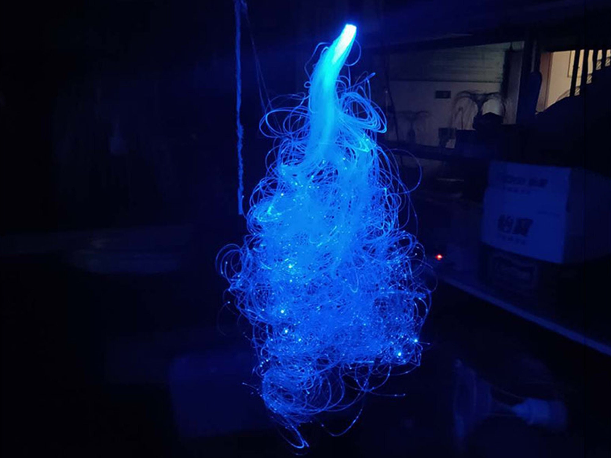 Herhaald vos George Eliot LED fiber optic lamp creatieve fiber optic lamp wandlamp - Etsy Nederland