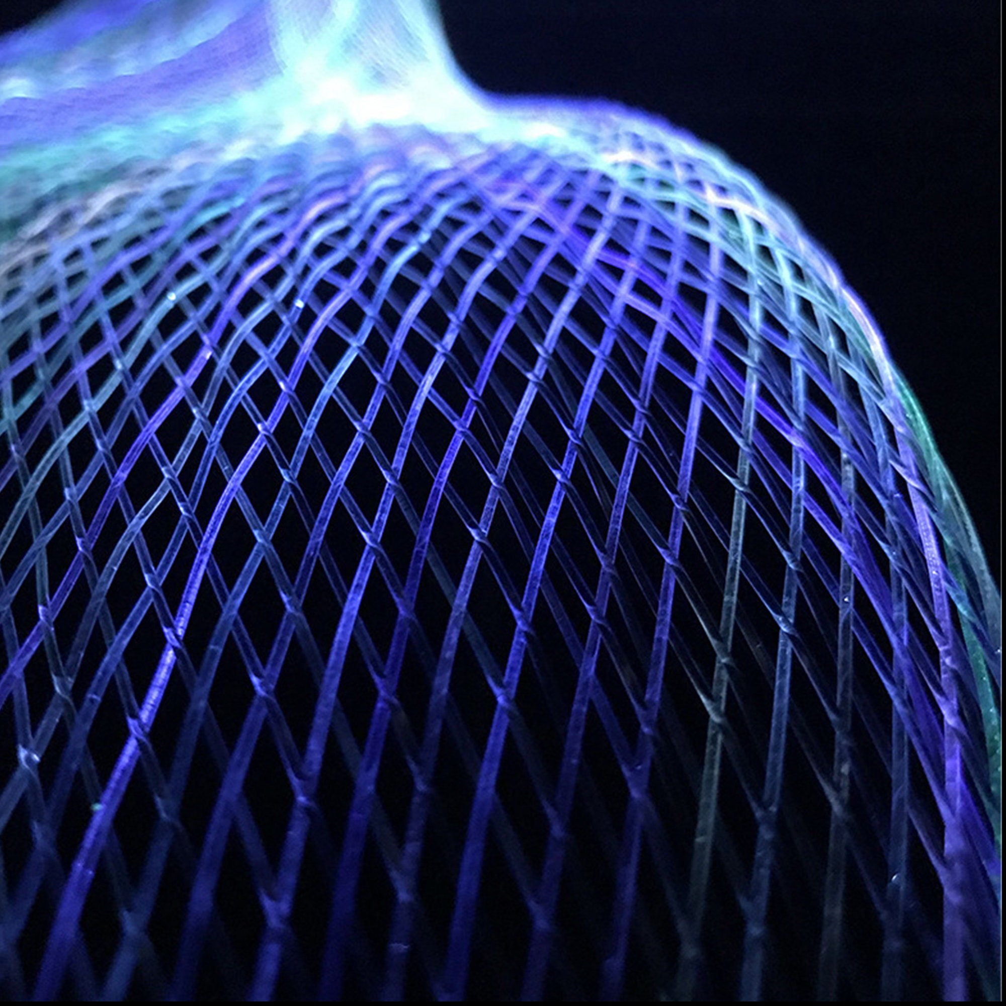 LED Fiber Optic Net Fiber Optic Art Luminous Net Luminous Etsy