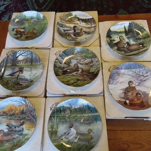 May include: Nine decorative collector plates featuring duck scenes in various natural settings. Each plate has a gold rim and is displayed on a cardboard backing. The plates depict ducks in ponds, lakes, and snowy landscapes, with detailed artwork.