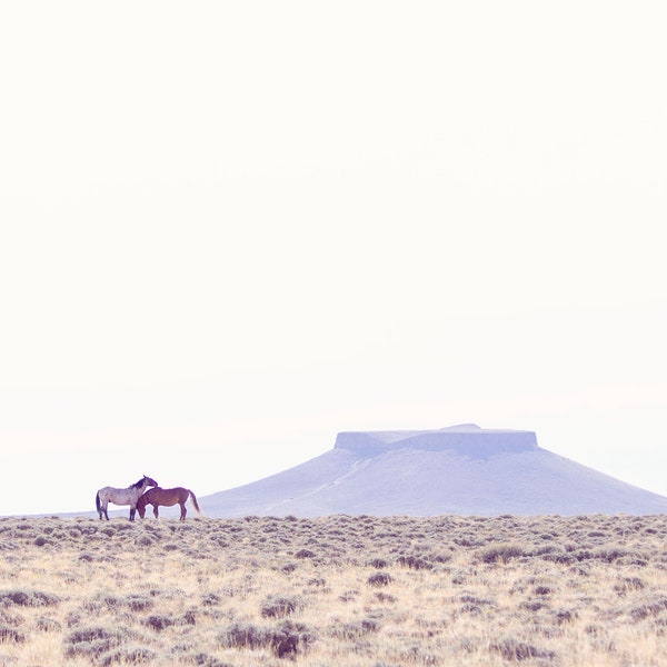 DIGITAL DOWNLOAD- Wild Horses on Pilot Butte in Wyoming, Wild horse photography print, wall decor, home decor, Artistic Decorations