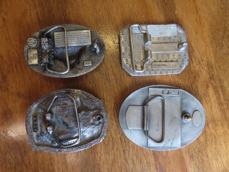 Op de afbeelding: Vier zilveren gespen met verschillende ontwerpen. De gespen zijn ovaalvormig en hebben een metalen sluiting. De gespen zijn allemaal van verschillende grootte en hebben verschillende details.