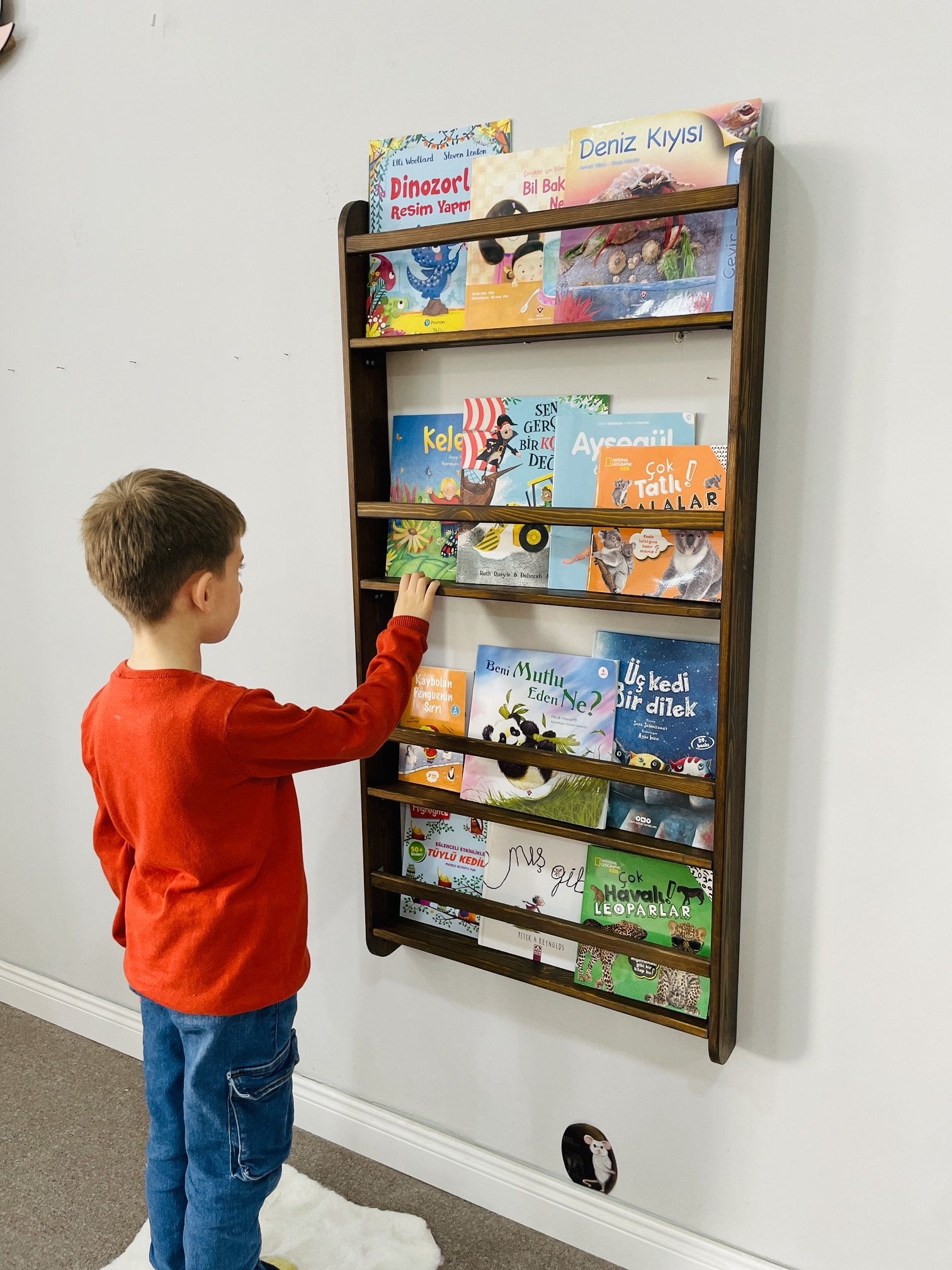 Montessori Wall-Mounted Kids Bookshelf, Space-Saving Behind-Door Shelf for Toddler Room, Solid Pine Shallow Book Rack Organizer