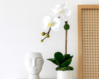 Real Touch White Orchid Arrangement: Faux Floral Centerpiece