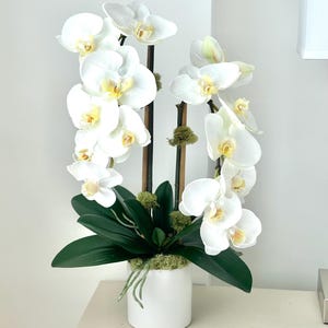 May include: A white ceramic pot holds a faux orchid arrangement. The arrangement features multiple white orchid blooms with yellow centers, dark green leaves, and moss accents. The stems are dark brown.