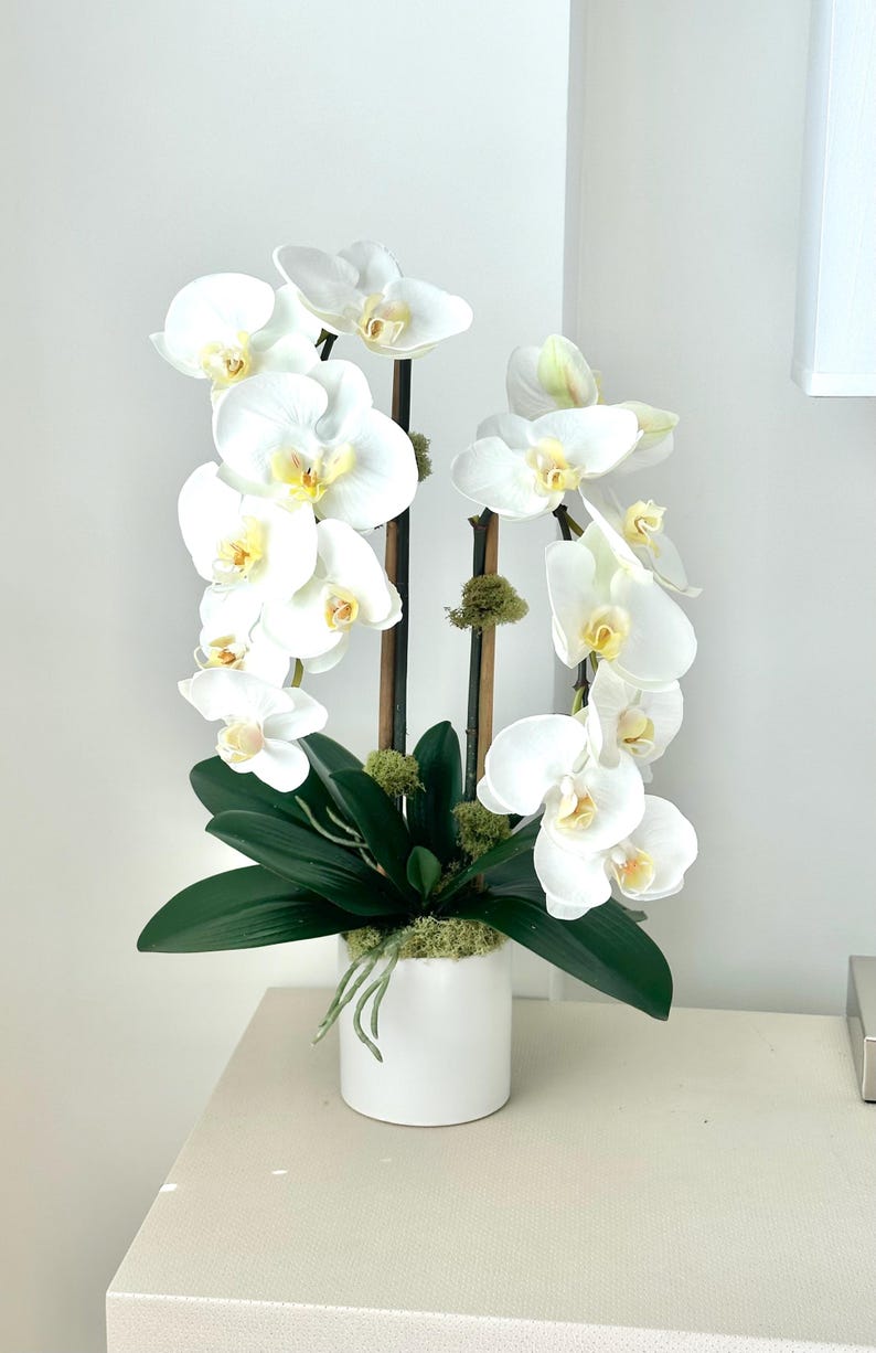 May include: A white ceramic pot holds a faux orchid arrangement. The arrangement features multiple white orchid blooms with yellow centers, dark green leaves, and moss accents. The stems are dark brown.