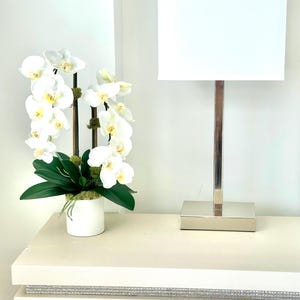 May include: A white orchid arrangement in a small white pot with green leaves and moss, next to a silver lamp with a white rectangular shade. The lamp and orchid are on a white surface.