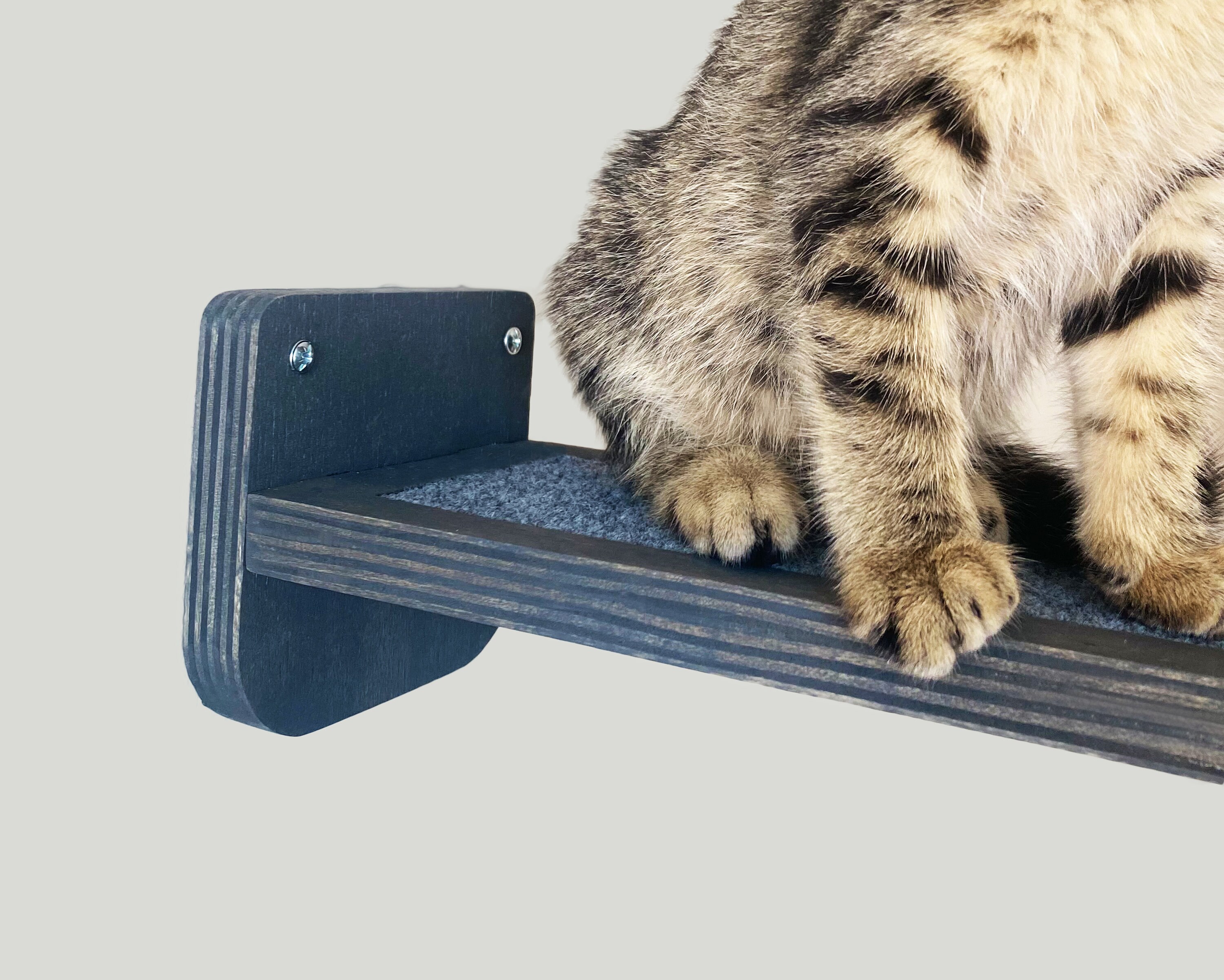 CAT STEPS Wall Mounted & WOOD Cat Shelves Modern Cat Ladder Etsy